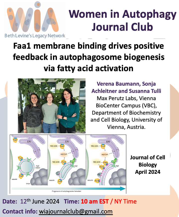 Women in Autophagy tweet media