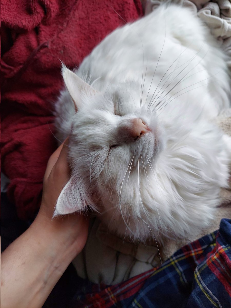 I am lovimg your all so extra Today 💕