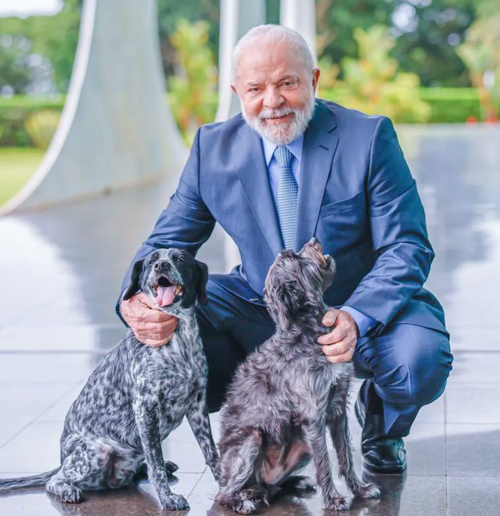 VI ESSA FOTO DA PRESIDENTA DO MÉXICO E ENTENDI PORQUE ESSES ESQUERDISTAS SÃO TÃO RUINS NO GOVERNO: SE OS CACHORROS DELES ESTÃO VIVOS, COM QUEM ELES SE ACONSELHAM??? 🤔