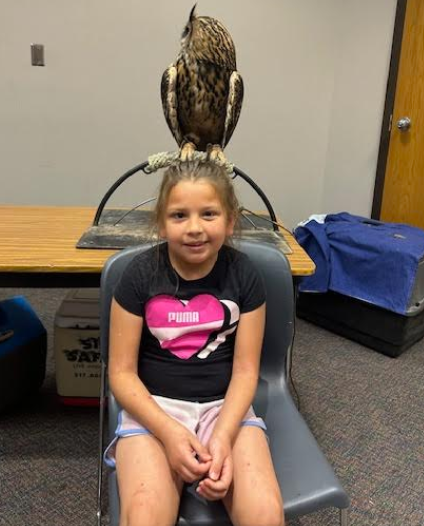 SFE Elementary tweet media