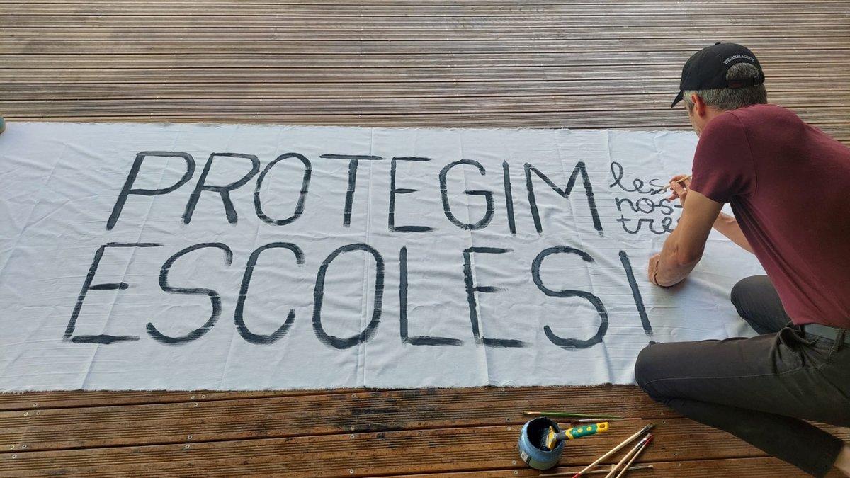 AFA JAUME I tweet media