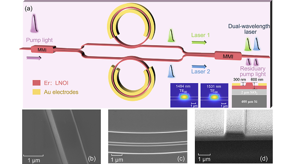 OpticaPubsGroup's tweet photo. Via #OPG_OL: Monolithic tunable dual-wavelength laser utilizing erbium-doped lithium niobate on an insulator https://t.co/zQCsC7IQxq #IntegratedOptics #TunableLasers https://t.co/solhW92Zve