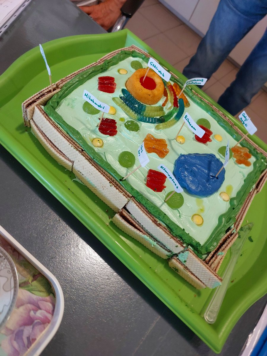 Öğrencilerimizden tamamı  yenilebilir biyoloji performans ödeviymiş. Endoplazmik retikuluma göz koydum