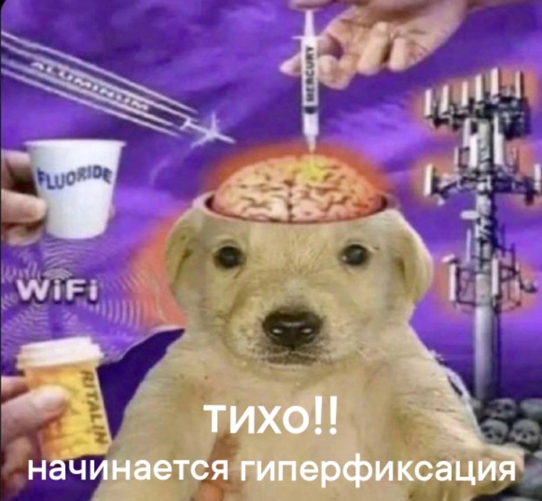 блядиада о моей жизни (@hreyasno) on Twitter photo 