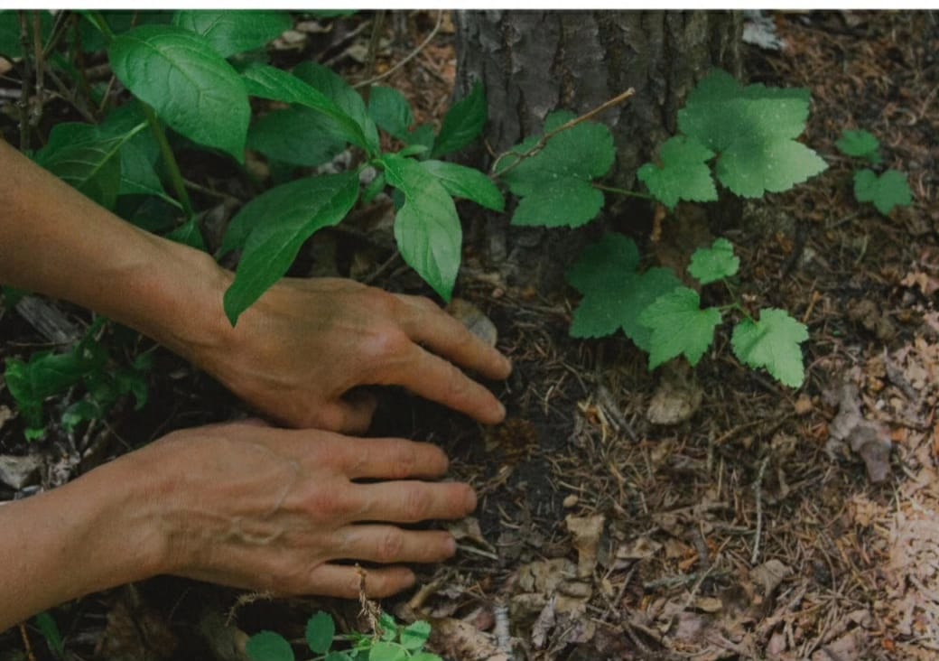 Ecocene Journal tweet media