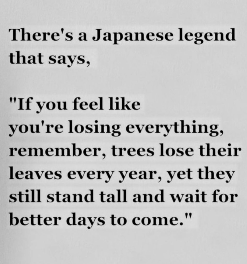 WarsiSundas's tweet photo. One should stay strong… https://t.co/7cHsDxbCuY