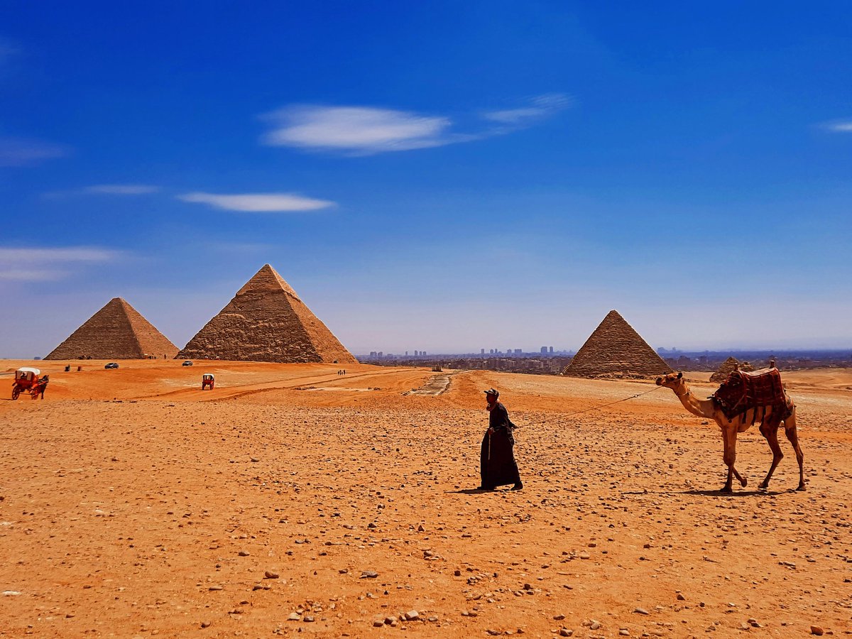 Chris Mitchell tweet media