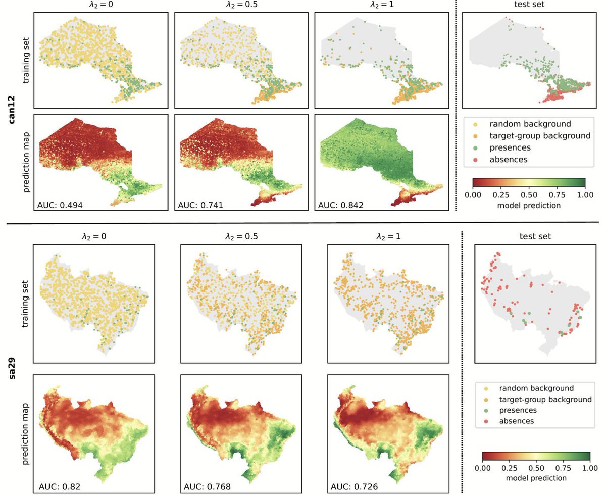 Robin Zbinden tweet media
