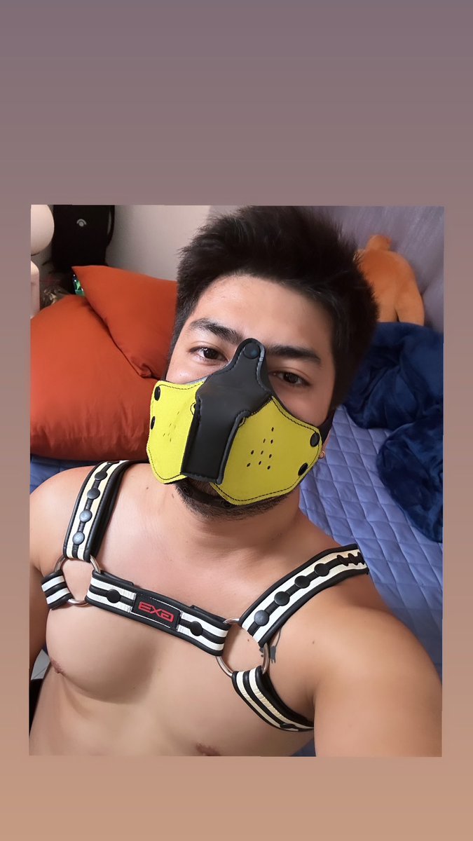 Brucofushiguro's tweet photo. woof. https://t.co/YcLHfZIiRv
