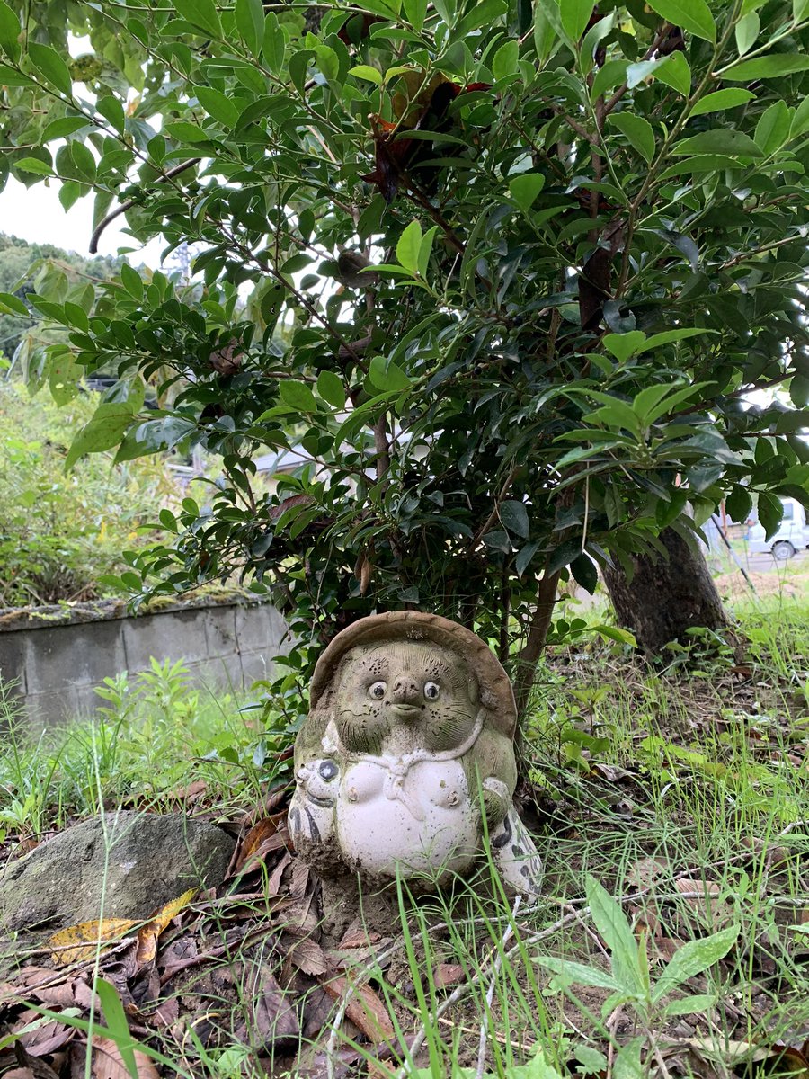 kimikimieeeeees's tweet photo. 昨日の赤穂谷温泉さんでのマルシェに
去年の津幡の水害で被災しお手伝いしたギャラリーのオーナーさんが来てくれました

ギャラリーは残念ながら閉めちゃったけど
新たなオーナーさんによって新しく生まれ変わって
また建物が使われることになったそう✨

嬉しいなー
みんなで見に行きたいね☺︎ https://t.co/ped1z8xxbq