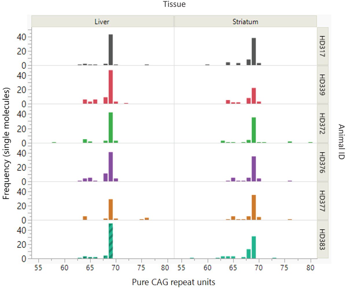 Journal of Huntington's Disease tweet media