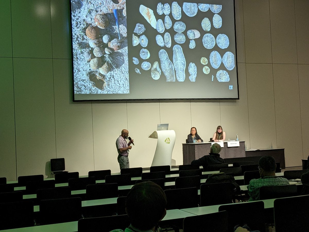 Matthew Nelsen tweet media