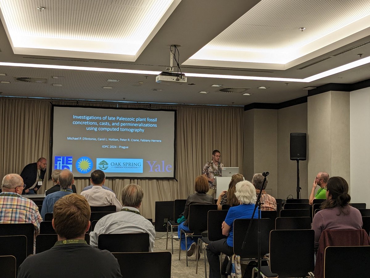 Matthew Nelsen tweet media