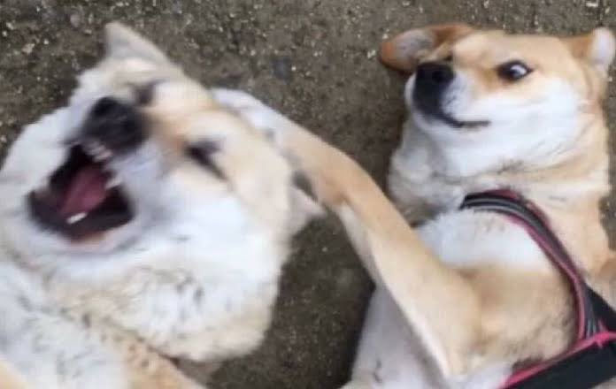 กุที่จะออกด้อมวี                    กลุ่มใหม่ที่เด