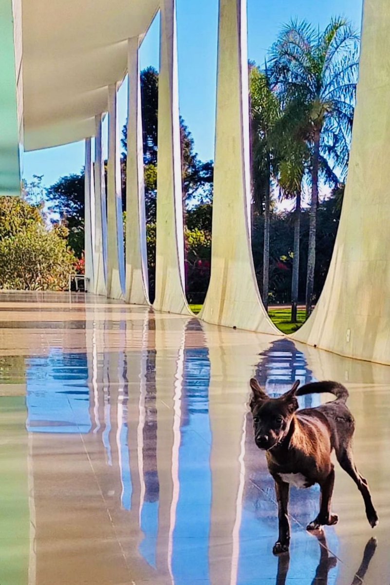 JanjaLula's tweet image. Bom dia, Esperança!!! 😍