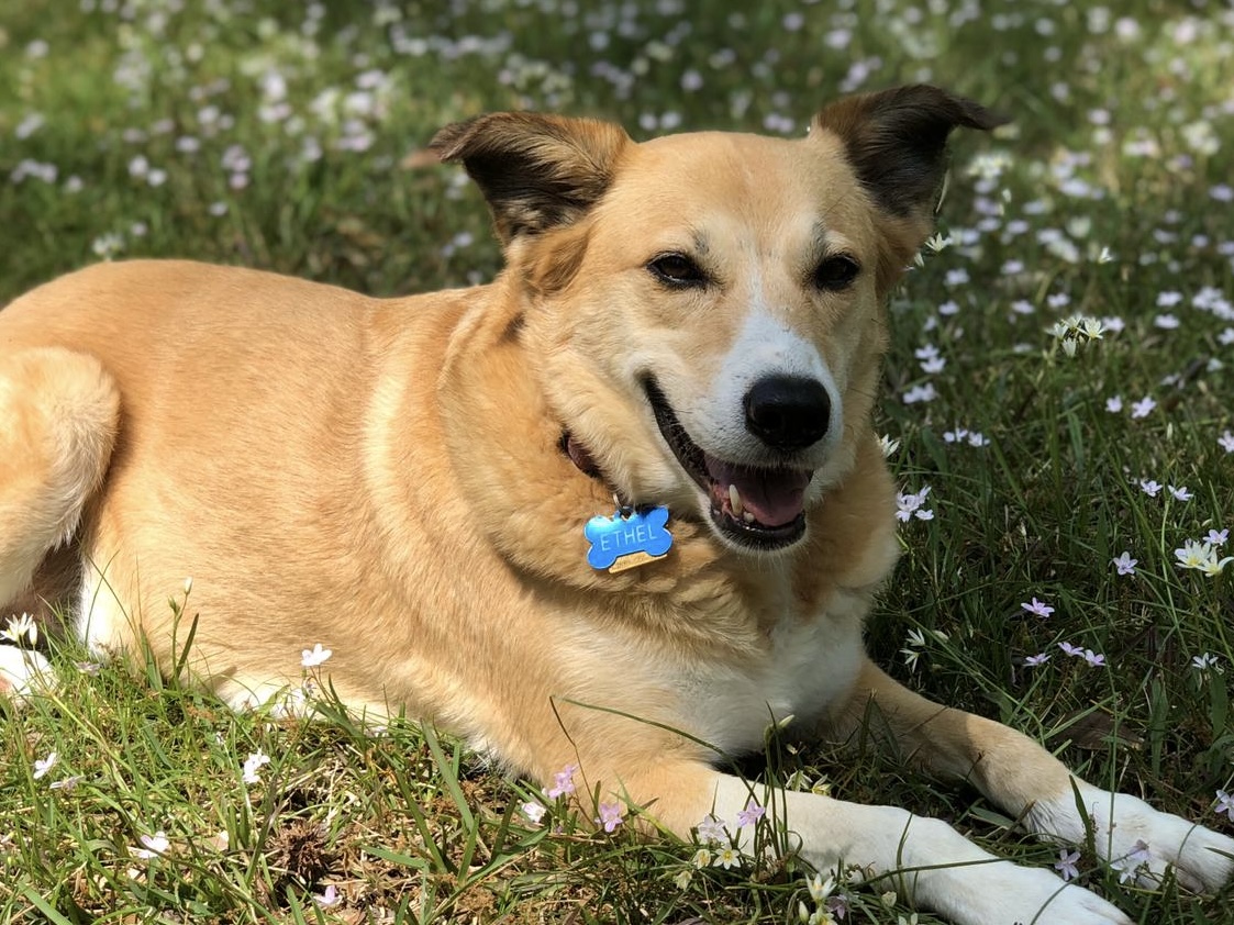 Steve Price tweet media