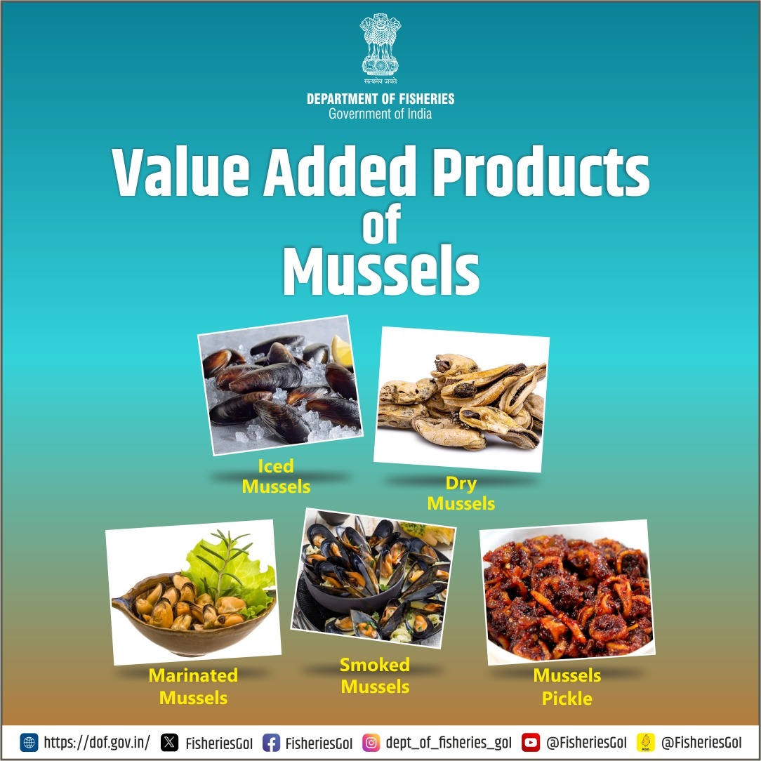 FisheriesGoI's tweet photo. Products made from mussels.. incomparable in taste and health.
#MusselMagic #TasteTheOcean #HealthyMussels #GourmetMussels #SeafoodSuperfood #OceanDelights #NutrientRich
#SeafoodLovers #SustainableSeafood #MusselsForHealth https://t.co/QBCOEGWy5Z
