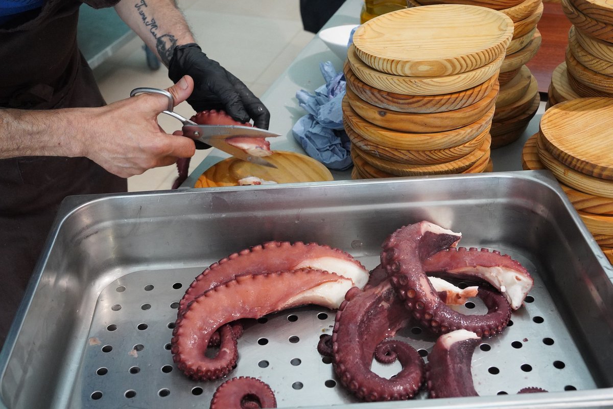 wp_vigo's tweet photo. Después, repusimos fuerzas con una comida nivel Galicia (pulpo🐙 incluido). 

#WCVigo2024 #WCVigo #Wordpress @mahou_es

📸 @NiloVelez y Antón Álvarez https://t.co/HZxSOMHu4p