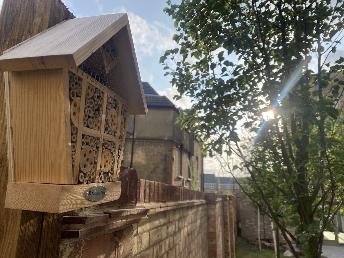 Exterior Architecture (@extarchitecture) on Twitter photo The Verdean for <a href="/mountanvil/">Mount Anvil</a> & @peabodynewhomes has won a #Pineapple for 'Best Place in Progress' at @thedeveloperuk Festival of Place awards 🍍We look forward to continuing to design & deliver great places for people with #collaborative design team & forward thinking client team! The Verdean for <a href="/mountanvil/">Mount Anvil</a> & @peabodynewhomes has won a #Pineapple for 'Best Place in Progress' at @thedeveloperuk Festival of Place awards 🍍We look forward to continuing to design & deliver great places for people with #collaborative design team & forward thinking client team!