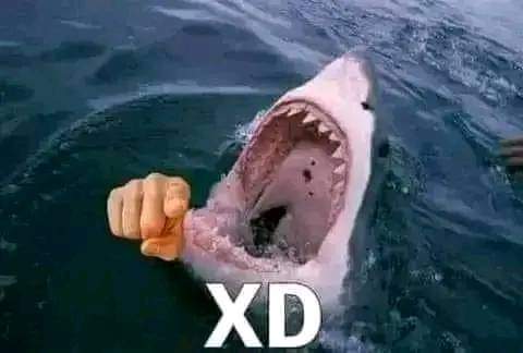 Roromadafaka tweet media