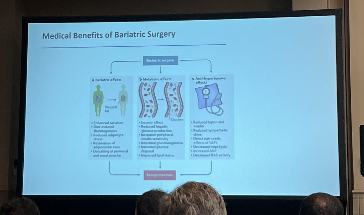 Laila Lakhani tweet media