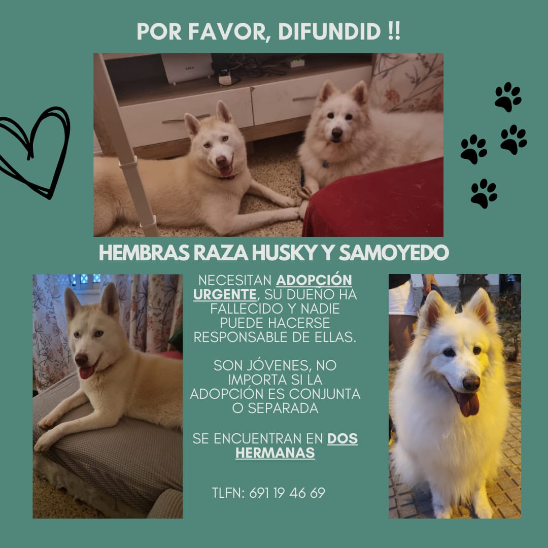 User4friends's tweet photo. Me lo acaban de pasar. https://t.co/zrrmVNHXyn