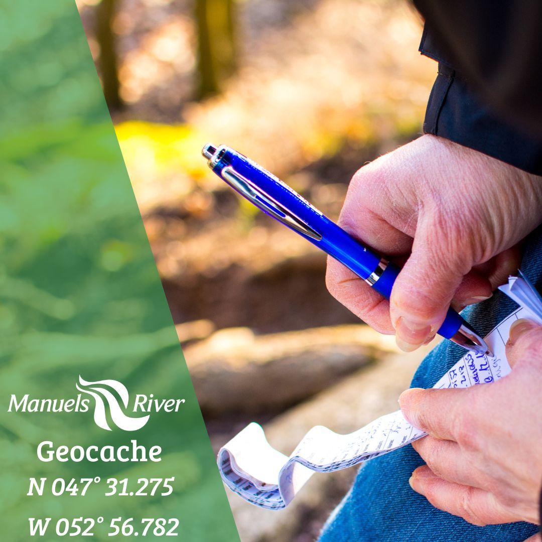 Manuels River tweet media