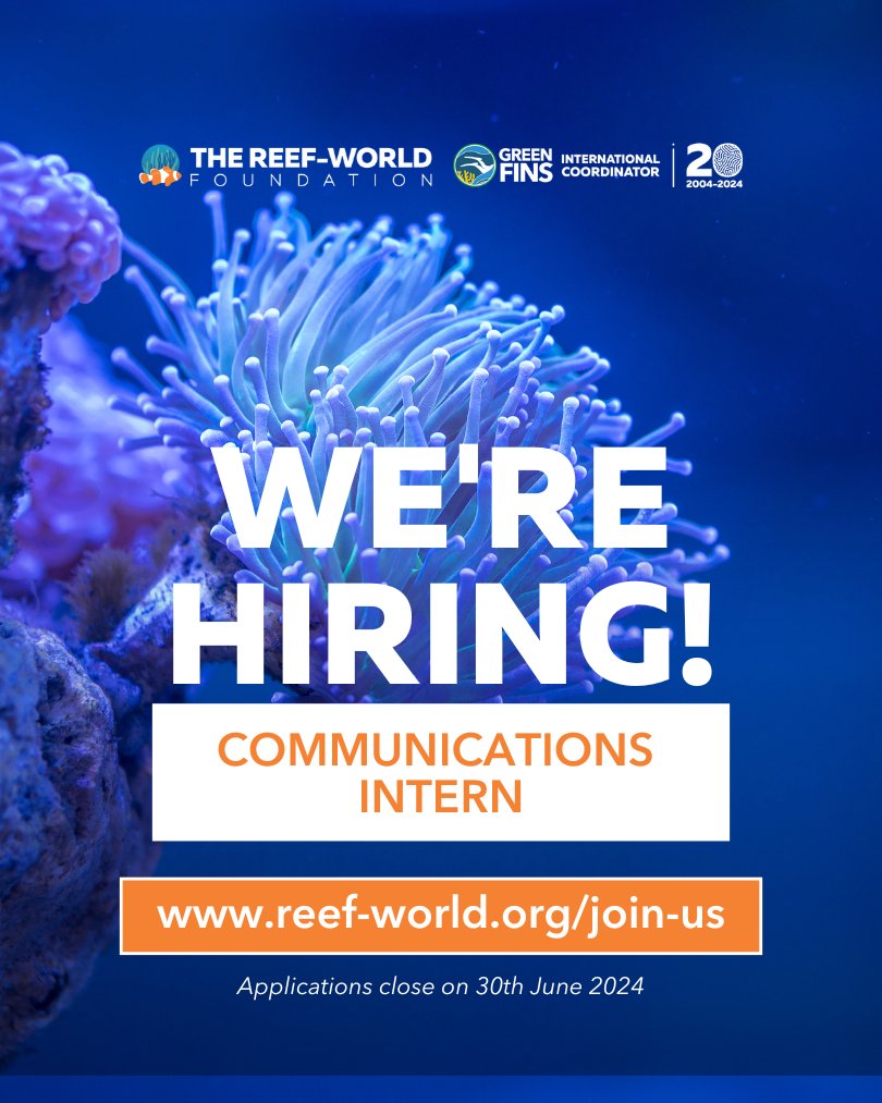 We are hiring! Are you passionate about marine conservation and looking to gain hands-on experience in communications and social media? If yes, we want to hear from you 💙  Apply now 👉 reef-world.org/join-us