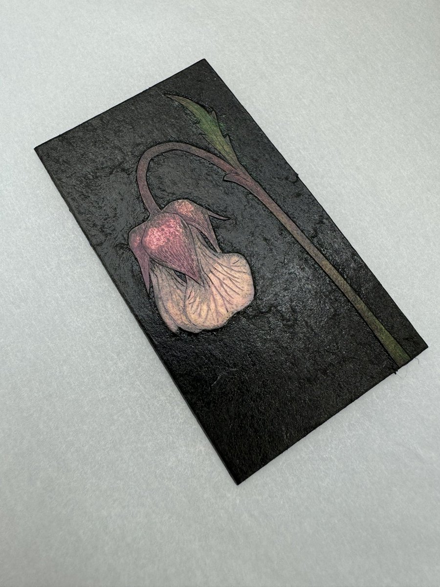 Hester Cox tweet media