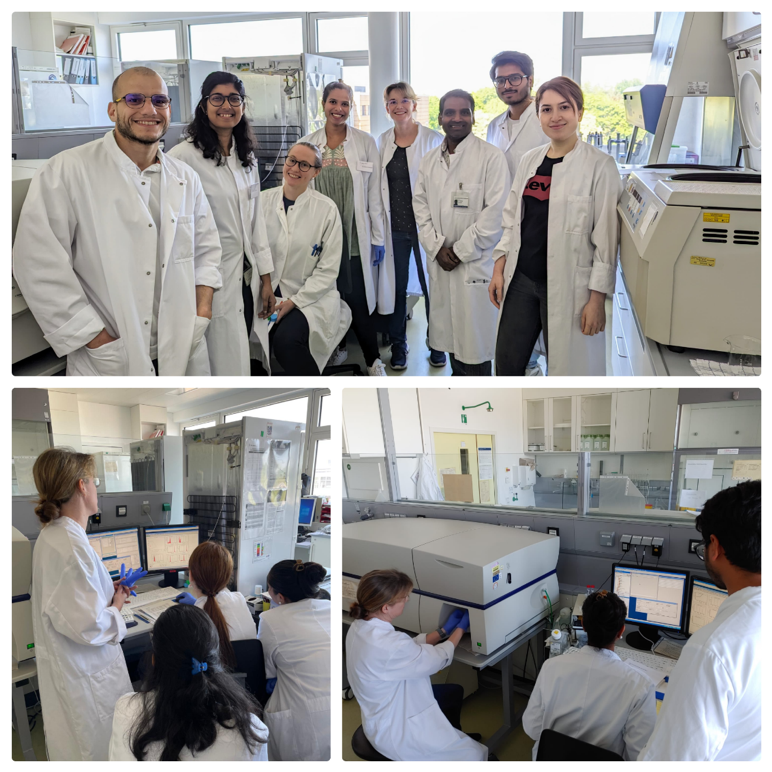 RTG2719 PRO tweet media