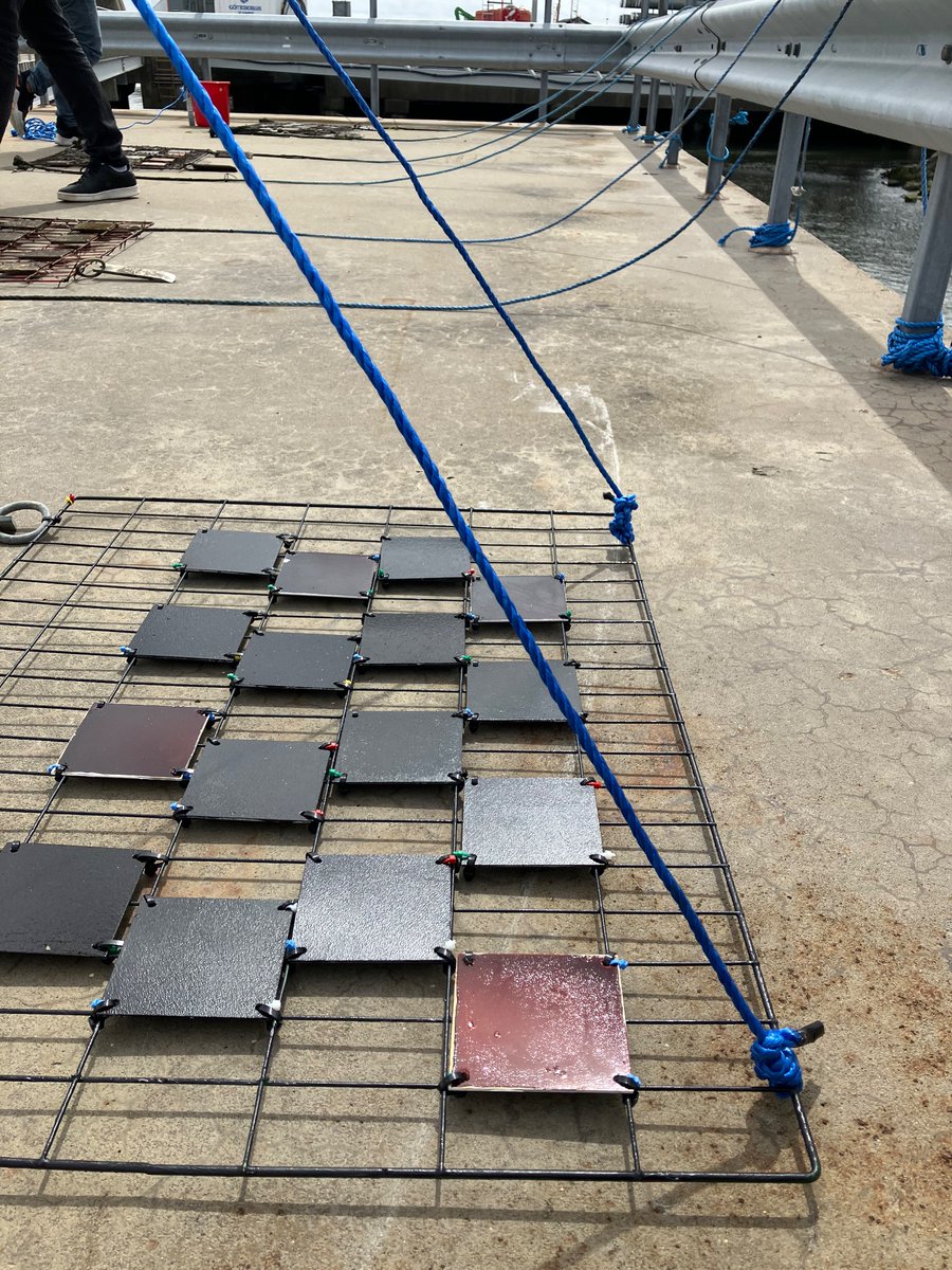 Antifouling paint panel deployment continues, today more racks going out for tests in Port of Gothenburg #antifouling