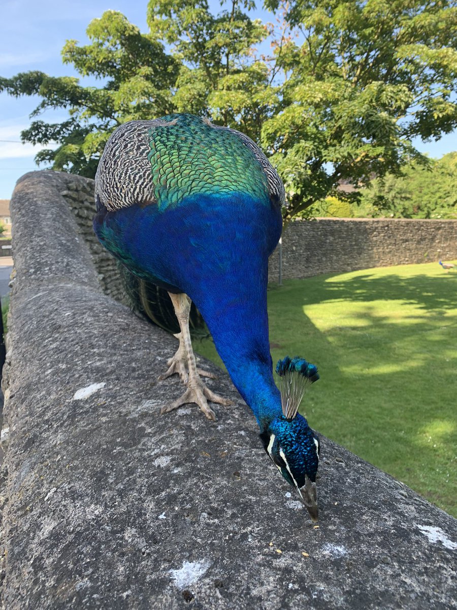 Caroline 🦋 tweet media