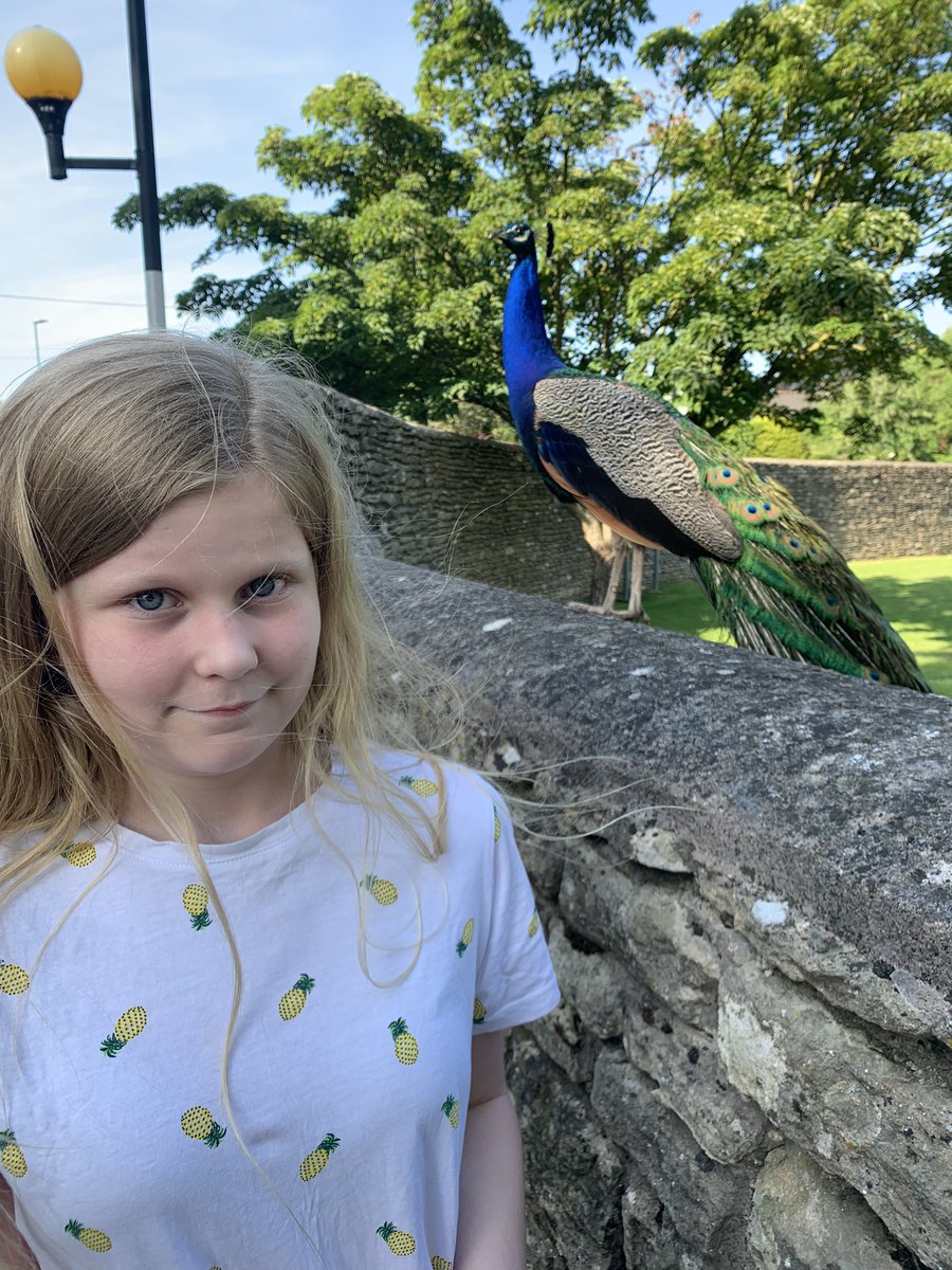 Caroline 🦋 tweet media