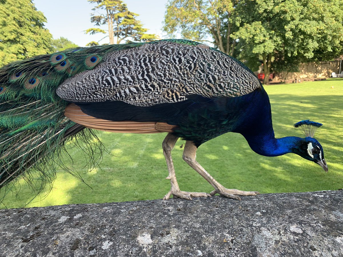 Caroline 🦋 tweet media