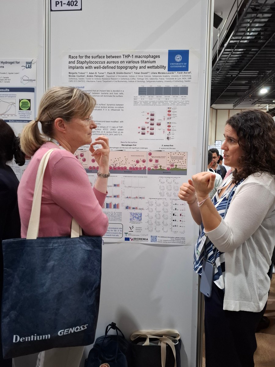 Parts of the #bioremia team met last week at the World Biomaterials Congress in Daegu, South Korea (May 26-31, 2024).

<a href="/MSCActions/">Marie Skłodowska-Curie Actions</a> <a href="/REA_research/">European Research Executive Agency</a> <a href="/HorizonEU/">Horizon Europe 🇪🇺</a> #phdlife #PhD #ITN #biomaterials #materialscience #WBC2024