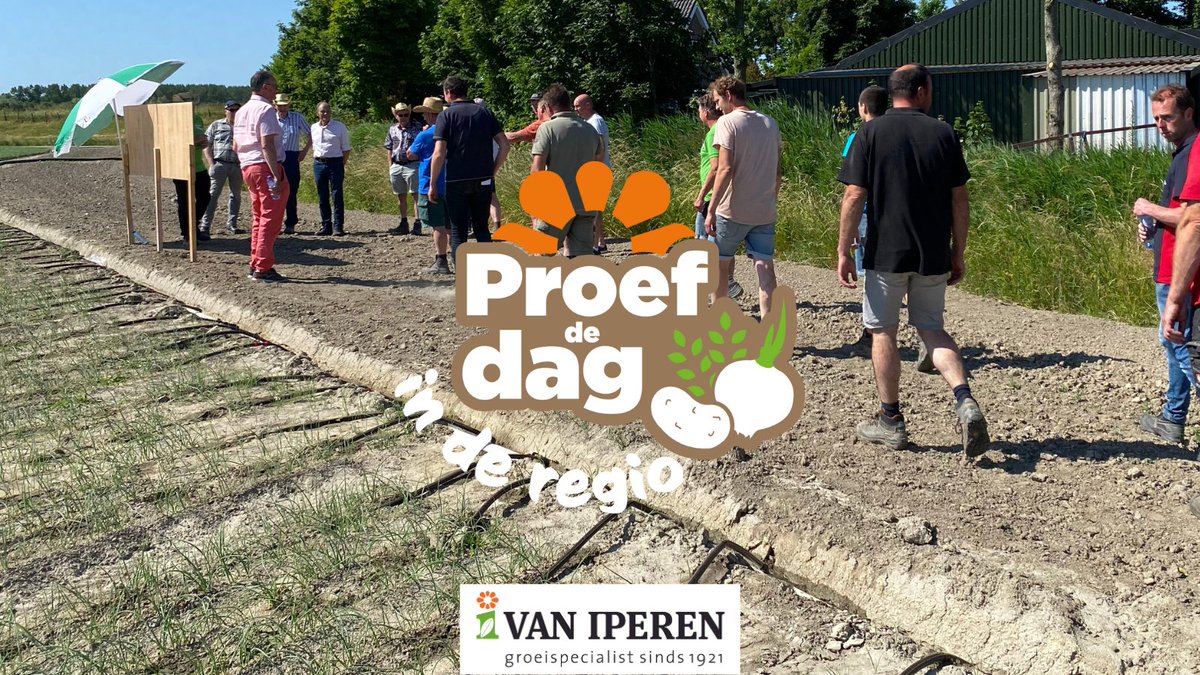 Volgende week starten we met onze eerste Proef de dag bijeenkomst in Achthuizen. Tijdens Proef de dag kunt u naast het op peil brengen van uw kennis ook in gesprek met uw collega-ondernemer. U kunt zich aanmelden via iperen.com/proefdedag2024/. #proefdedag #akkerbouw