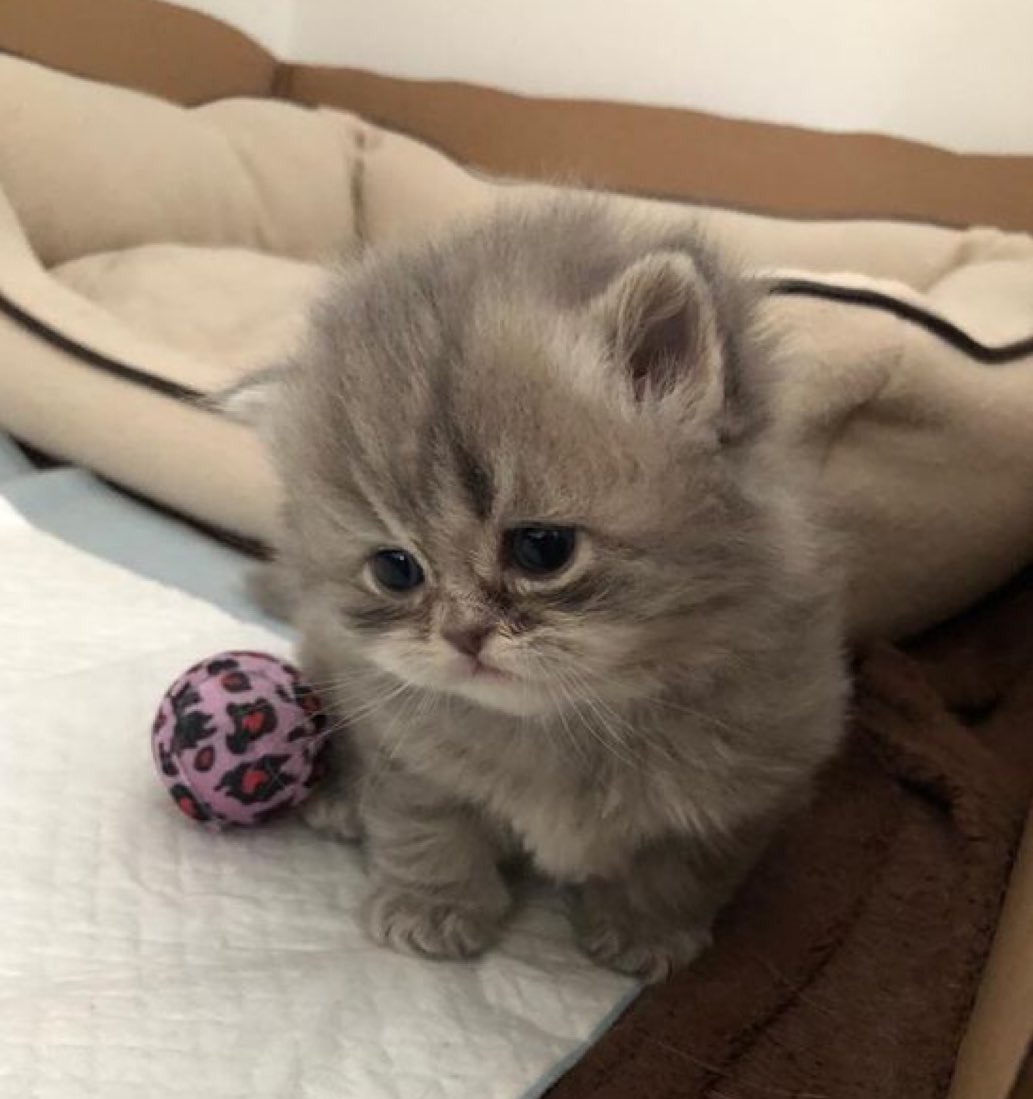 คิดว่างอนเป้นคนเดียวรึไง                        งึม