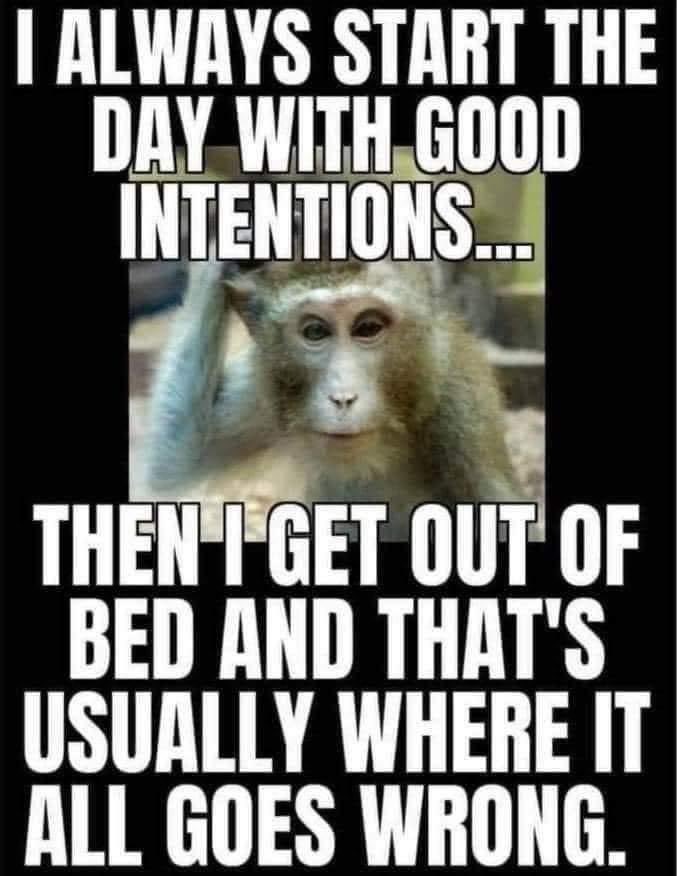 criswinter412's tweet photo. TRUTH! 🙌🏼 🤣🤣 Happy Monday! Full week of work ahead. Give the week your best shot! 👍🏼
#mondaymotivation #mondayvibes #mondaymood #mondaymorning #monday #starttheweek #makeitgood #starttheweekright #motivated #motivation #youarestrong #thingsgowrong #getoutofbed #goodintentions https://t.co/wl1VgiZXpk