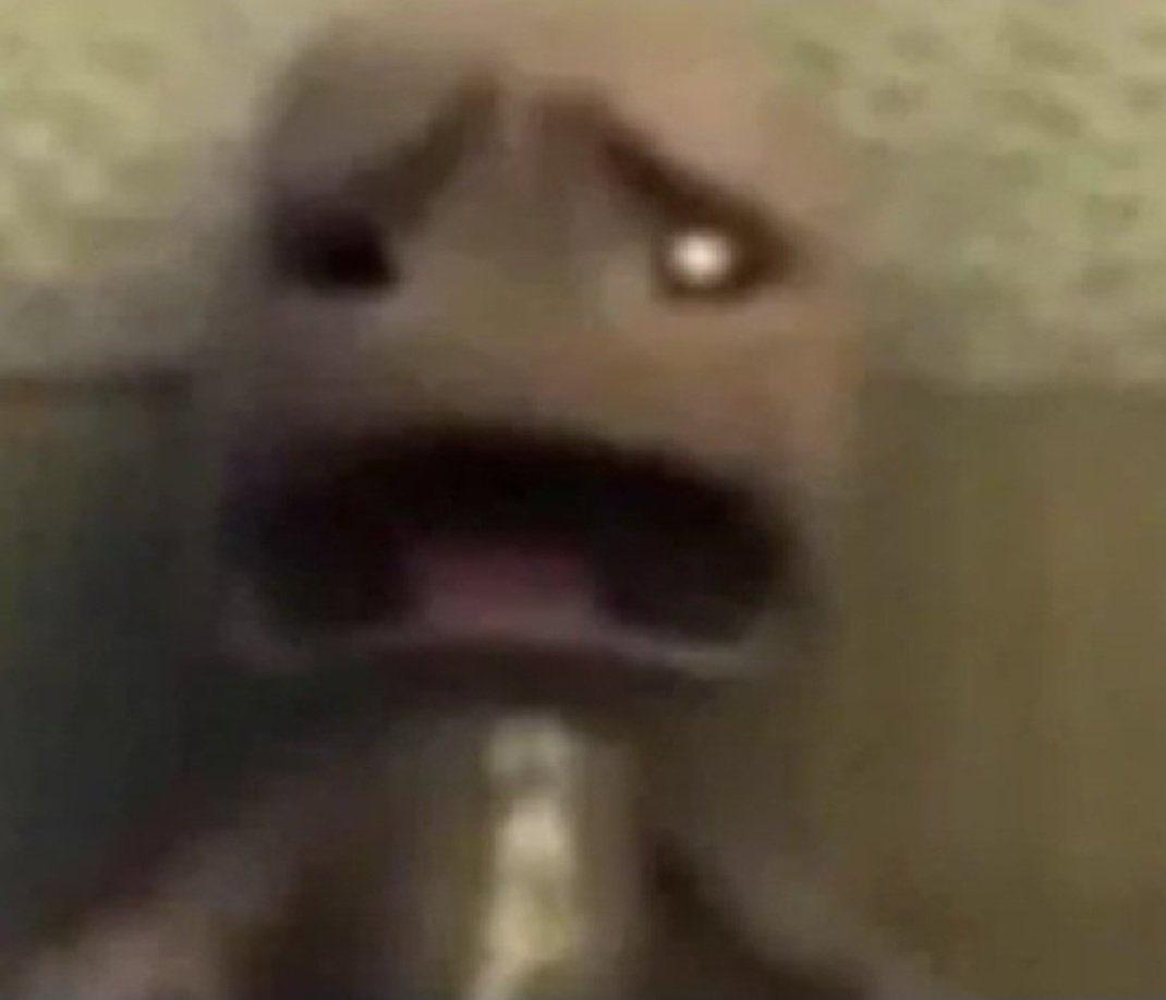 estão falando de VINTE REAIS como se fosse troco de pão 

eu devo ser mt pobre não é possível