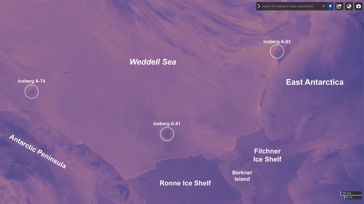 A fine day across #Antarctica's Weddell Sea shows #icebergs A-74, A-81, and A-83 that calved from the Brunt Ice Shelf in February 2021, January 2023, and May 2024, respectively. 

Interact with Suomi-NPP VIIRS thermal imagery using NASA's Worldview: go.nasa.gov/4dZ3m0i