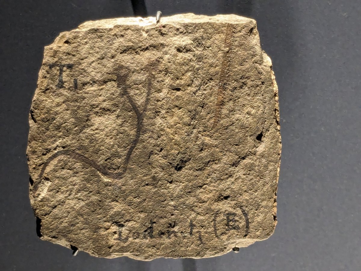 Matthew Nelsen tweet media