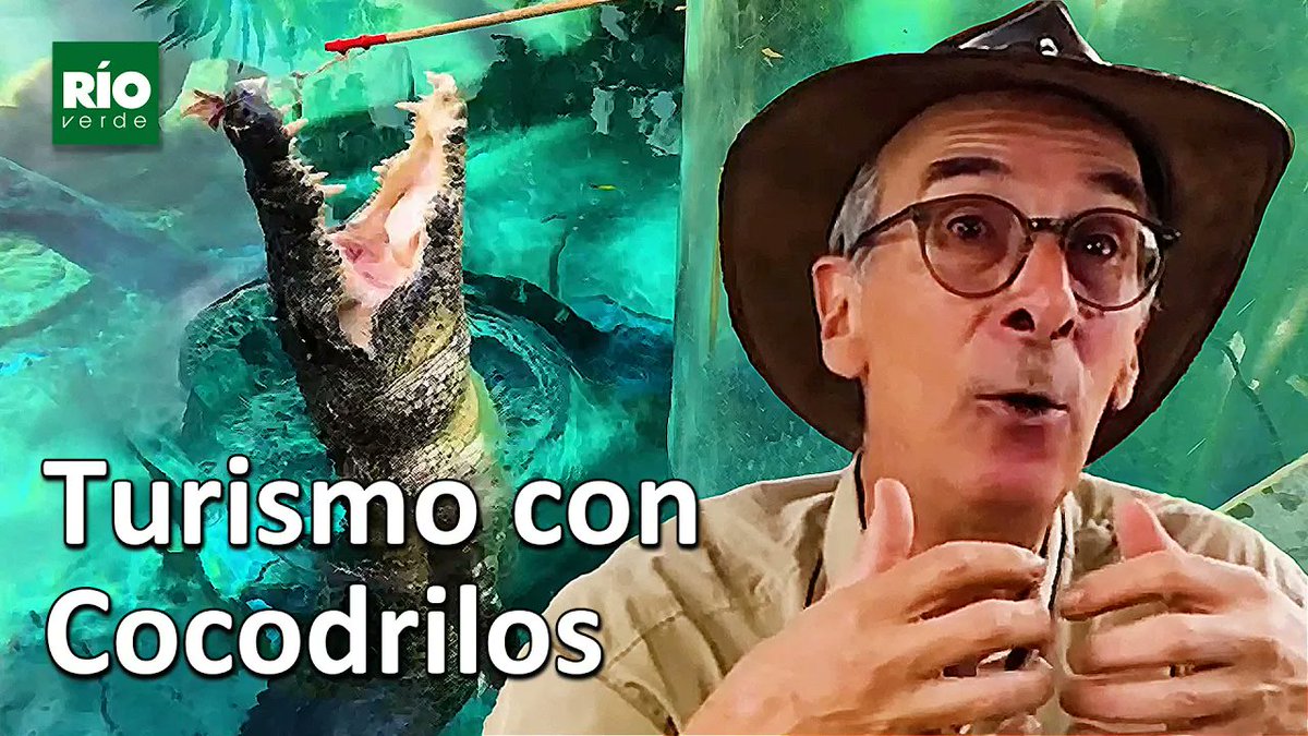 Los secretos del turismo con cocodrilos en Australia youtu.be/oqdxVvFjjaI?si… a través de <a href="/YouTube/">YouTube</a> #turismo #cocodrilos #caiman #darwin