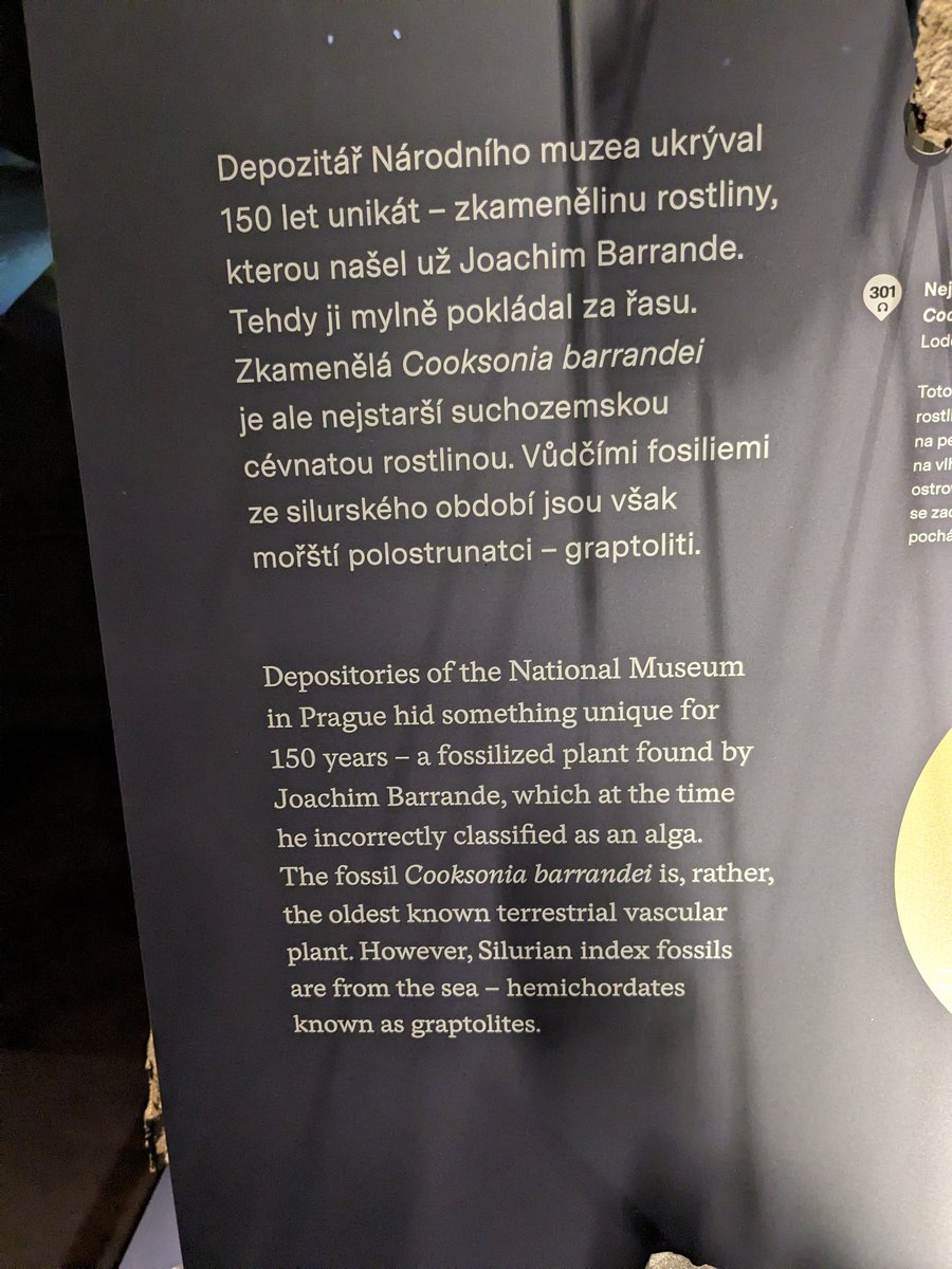 Matthew Nelsen tweet media