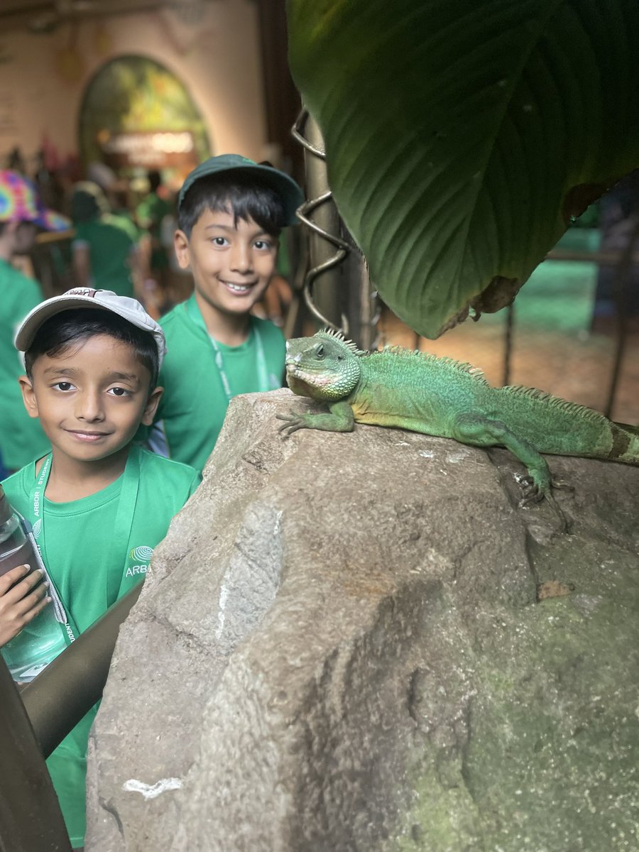 Year 2 | The Arbor School tweet media