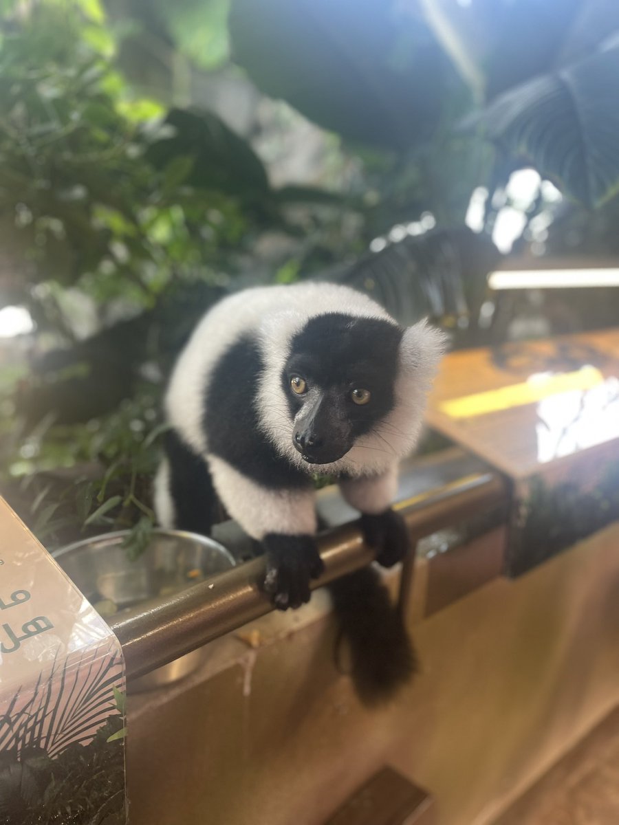 Year 2 | The Arbor School tweet media