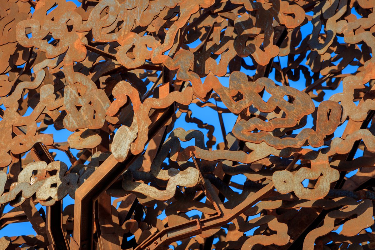 If you drive by Texas Tech University’s Innovation Hub at Research Park, you just might miss Marco Cianfanelli’s “Knowledge Structure” This rusted mild steel sculpture of a brain or trees, depending on your point of view,  blends right into its environment.