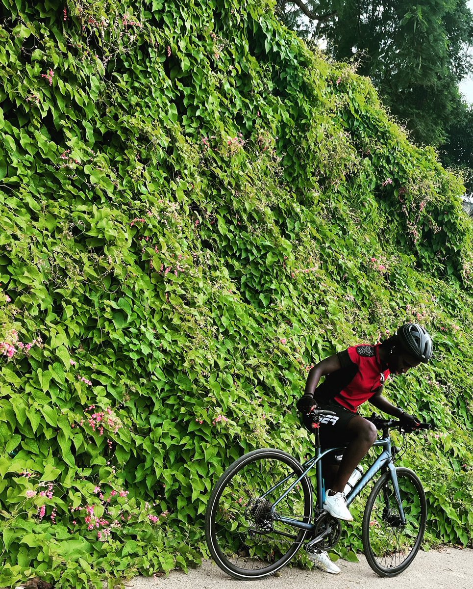 fifi_ebene's tweet photo. Happy #Worldbikeday !! https://t.co/DtYIb0Ia3K