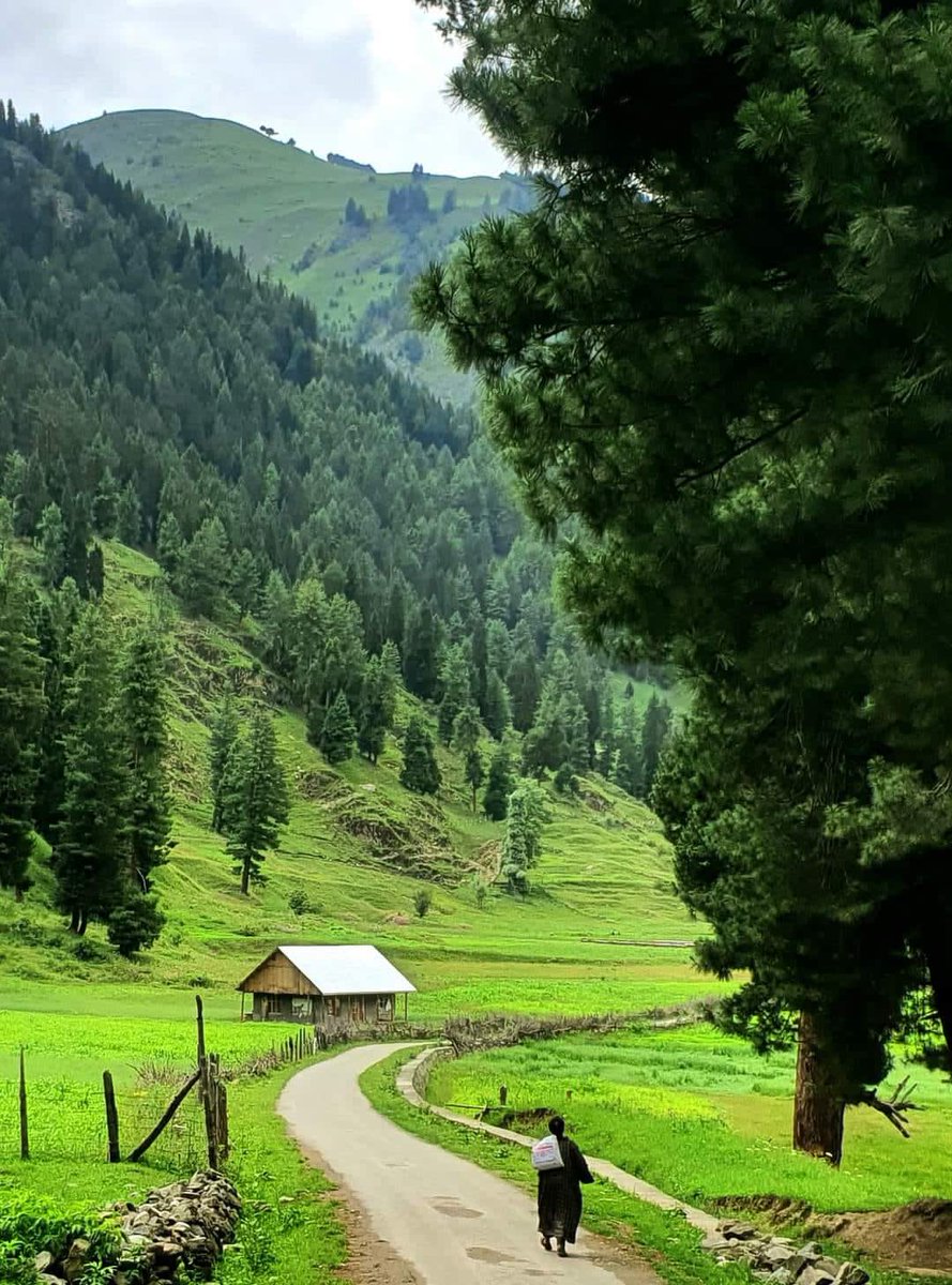 Fadiya_Khurram's tweet photo. Nothing beats the serene #Beauty of lush green landscape of #Kashmir!!!!
#GreeneryEverywhere
#naturescenery
#LoveNature
#NatureMagic
#NatureBeautiful
#PeaceOfMind
#PeaceAndLove https://t.co/Lq9YBHnVPS