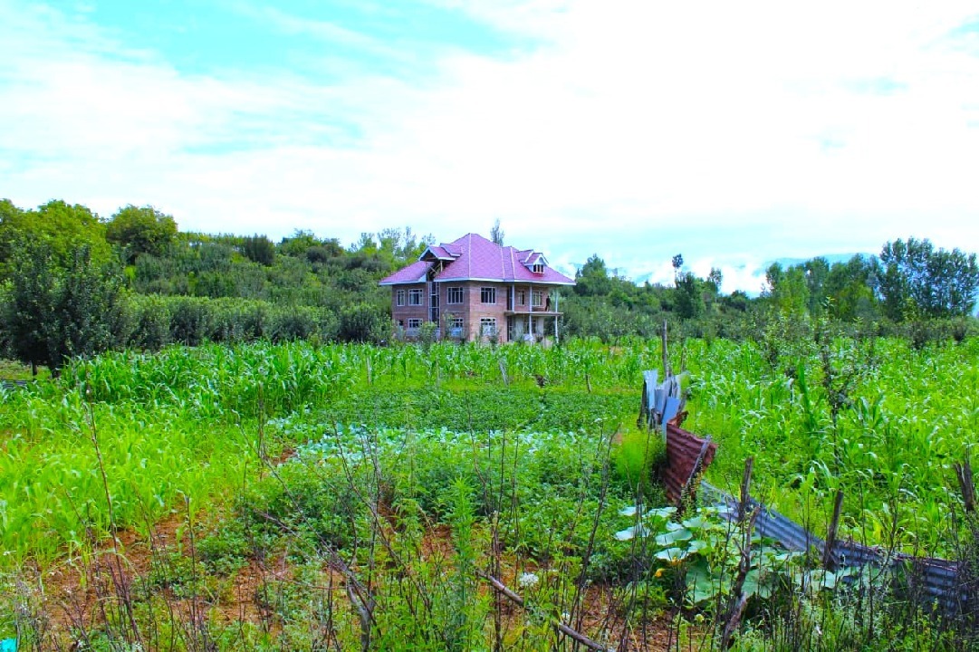 Fadiya_Khurram's tweet photo. Nothing beats the serene #Beauty of lush green landscape of #Kashmir!!!!
#GreeneryEverywhere
#naturescenery
#LoveNature
#NatureMagic
#NatureBeautiful
#PeaceOfMind
#PeaceAndLove https://t.co/Lq9YBHnVPS