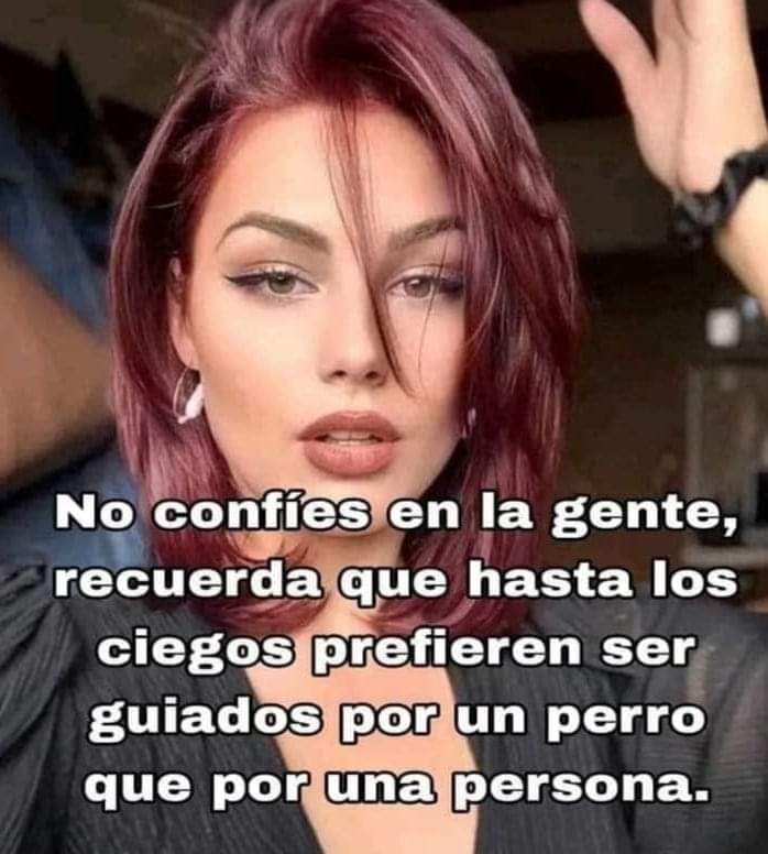 Un general norteamericano solía decir: "mientras más conozco a la gente más quiero a mi perro"...